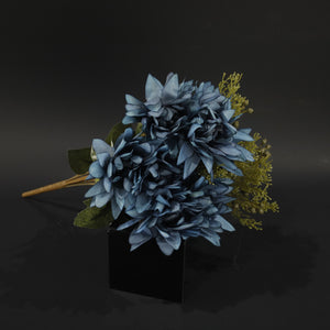 HFL10715 - Cobalt Cineraria Bq