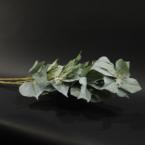 HFL10718 - LS Green Winter Rose