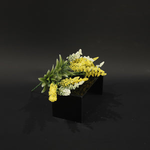 HFL10725 - Yellow Silky Lupine Bq