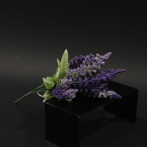 HFL10726 - Purple Silky Lupine Bq