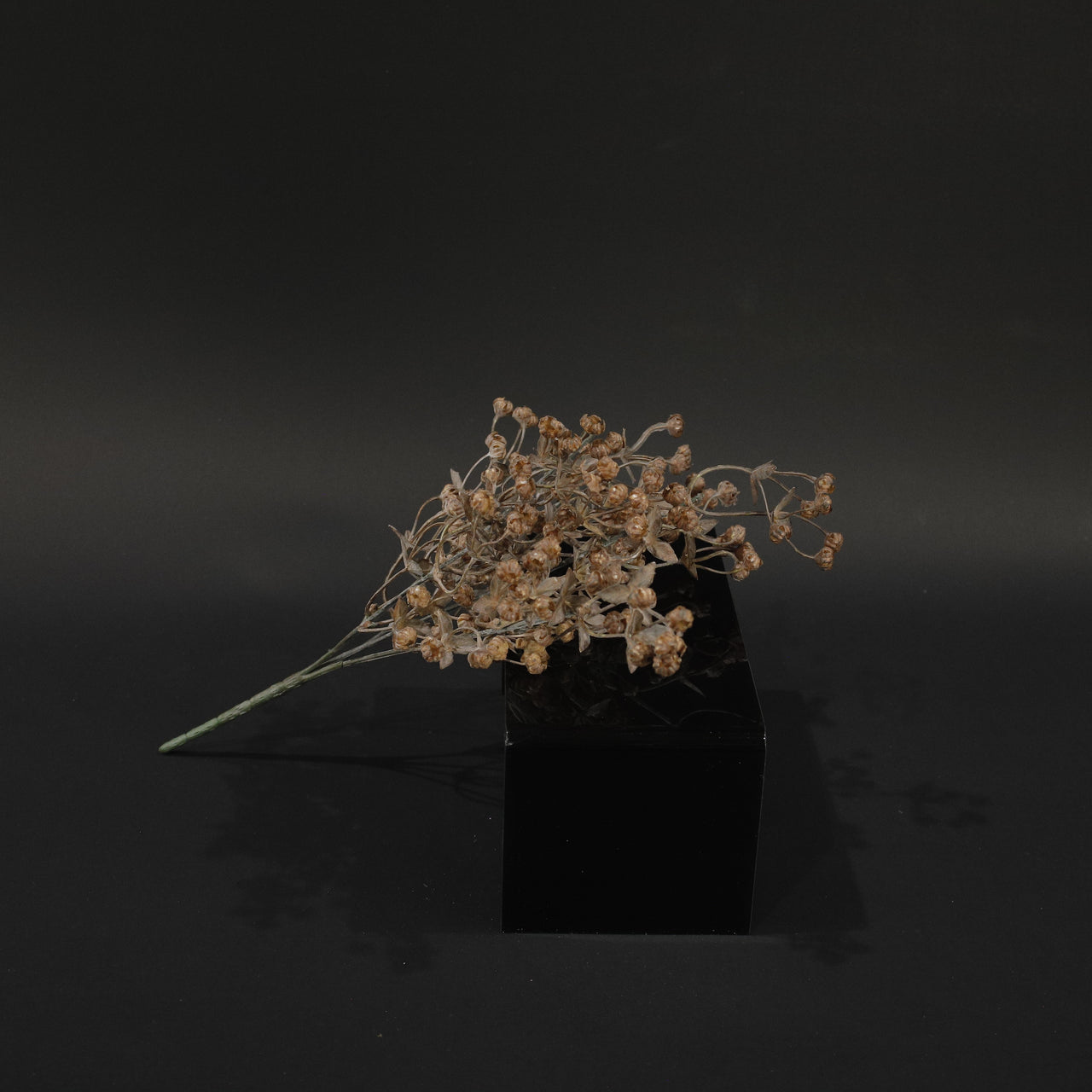HFL10727 - Mulberry Baby's Breath Bq