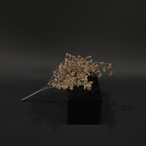 HFL10727 - Mulberry Baby's Breath Bq