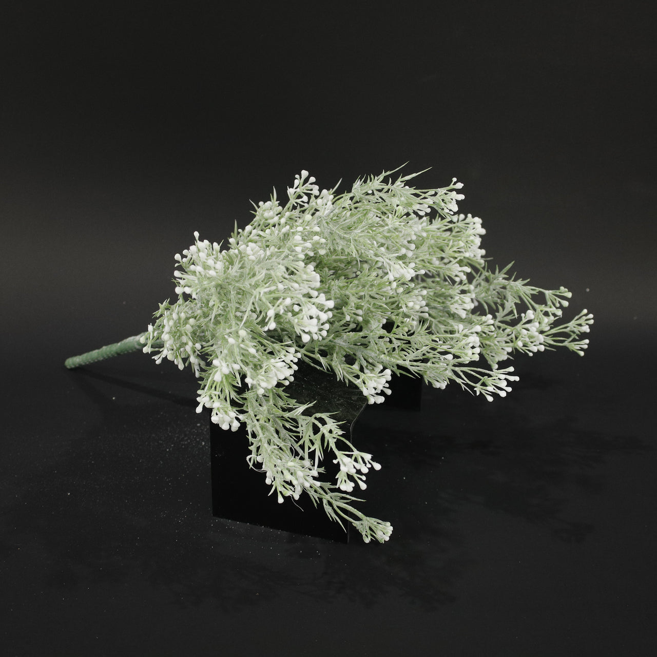 HFL10732 - White Verbena Hybrida Bq