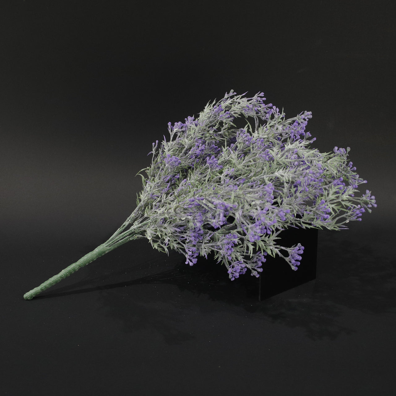 HFL10733 - Purple Verbena Hybrida Bq