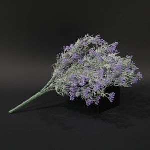 HFL10733 - Purple Verbena Hybrida Bq