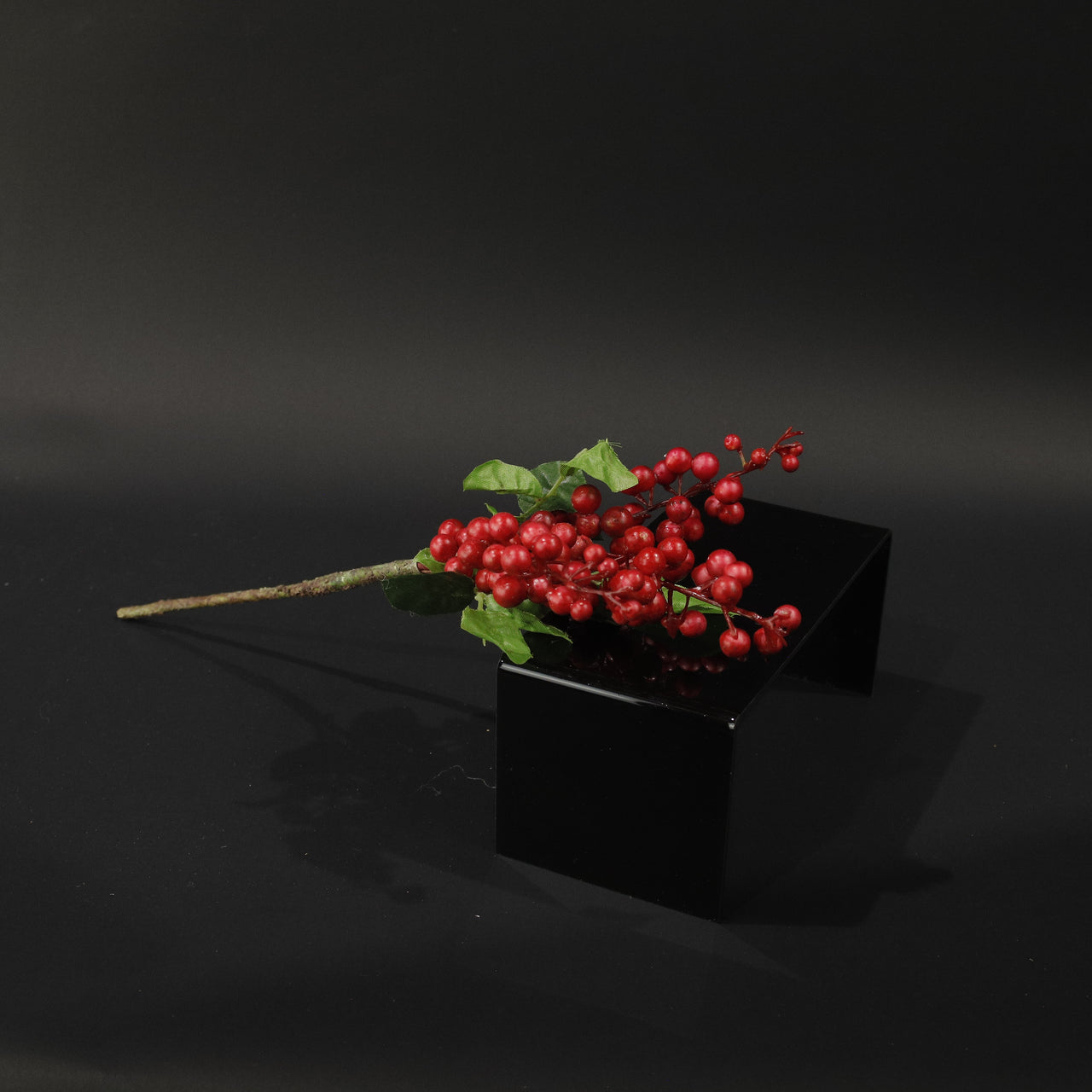HFL10734 - LS Red Chokecherry