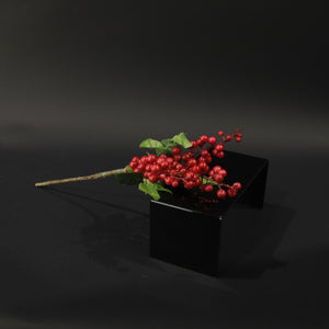 HFL10734 - LS Red Chokecherry