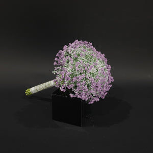 HFL10738 - Soft Pink Baby's Breath Bq