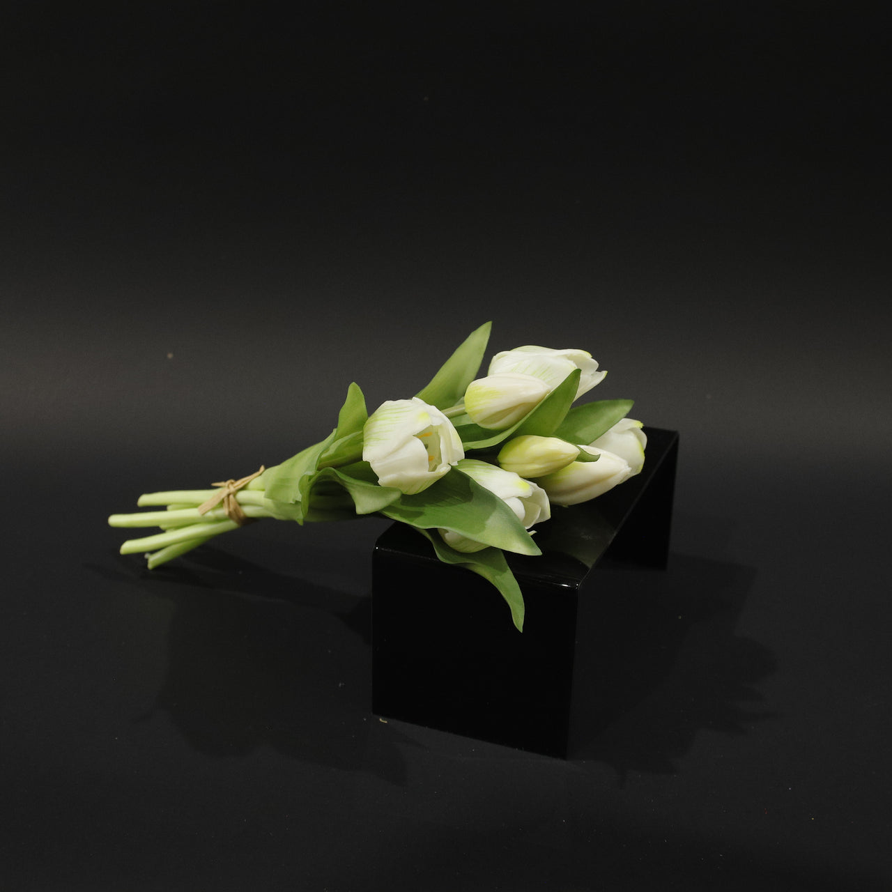 HFL10739 - Cream Tulip Bq