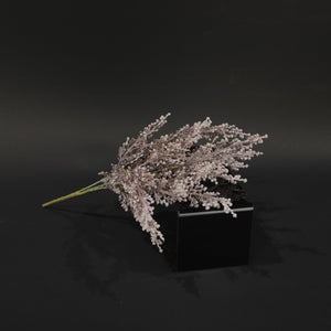 HFL10744 - Purple Big Sagebrush Bq
