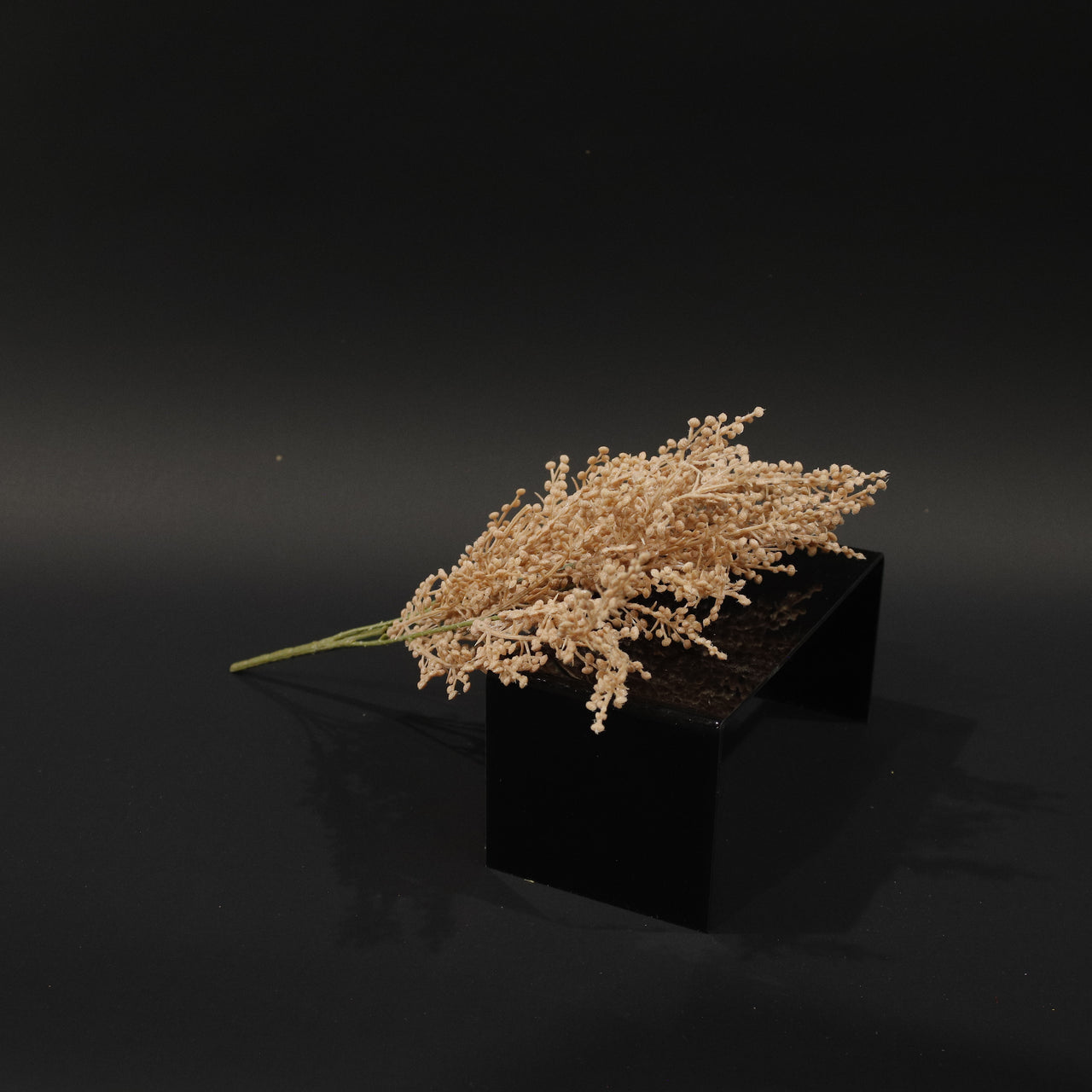 HFL10745 - Sand Big Sagebrush Bq