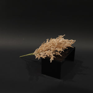 HFL10745 - Sand Big Sagebrush Bq