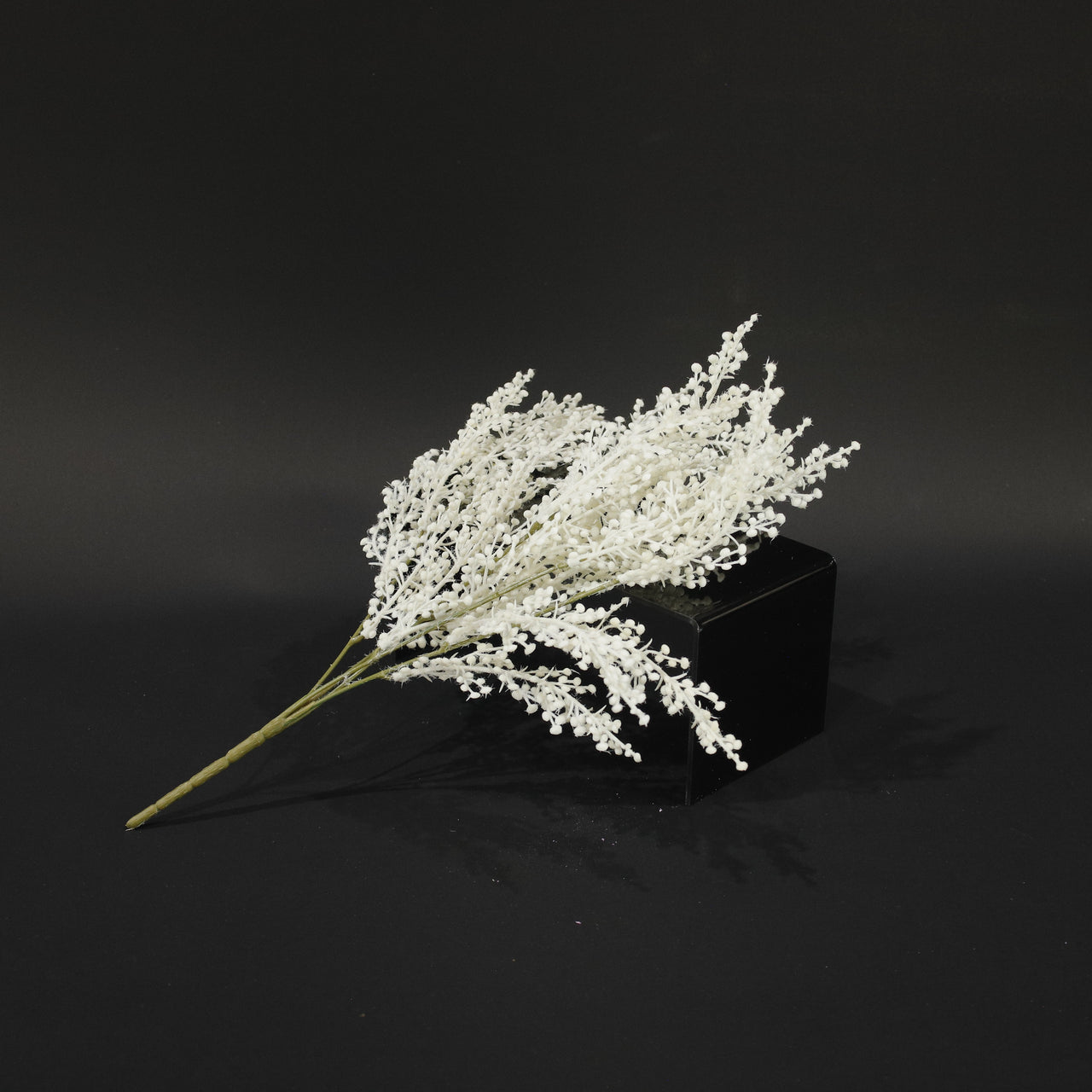 HFL10746 - Cream Big Sagebrush Bq
