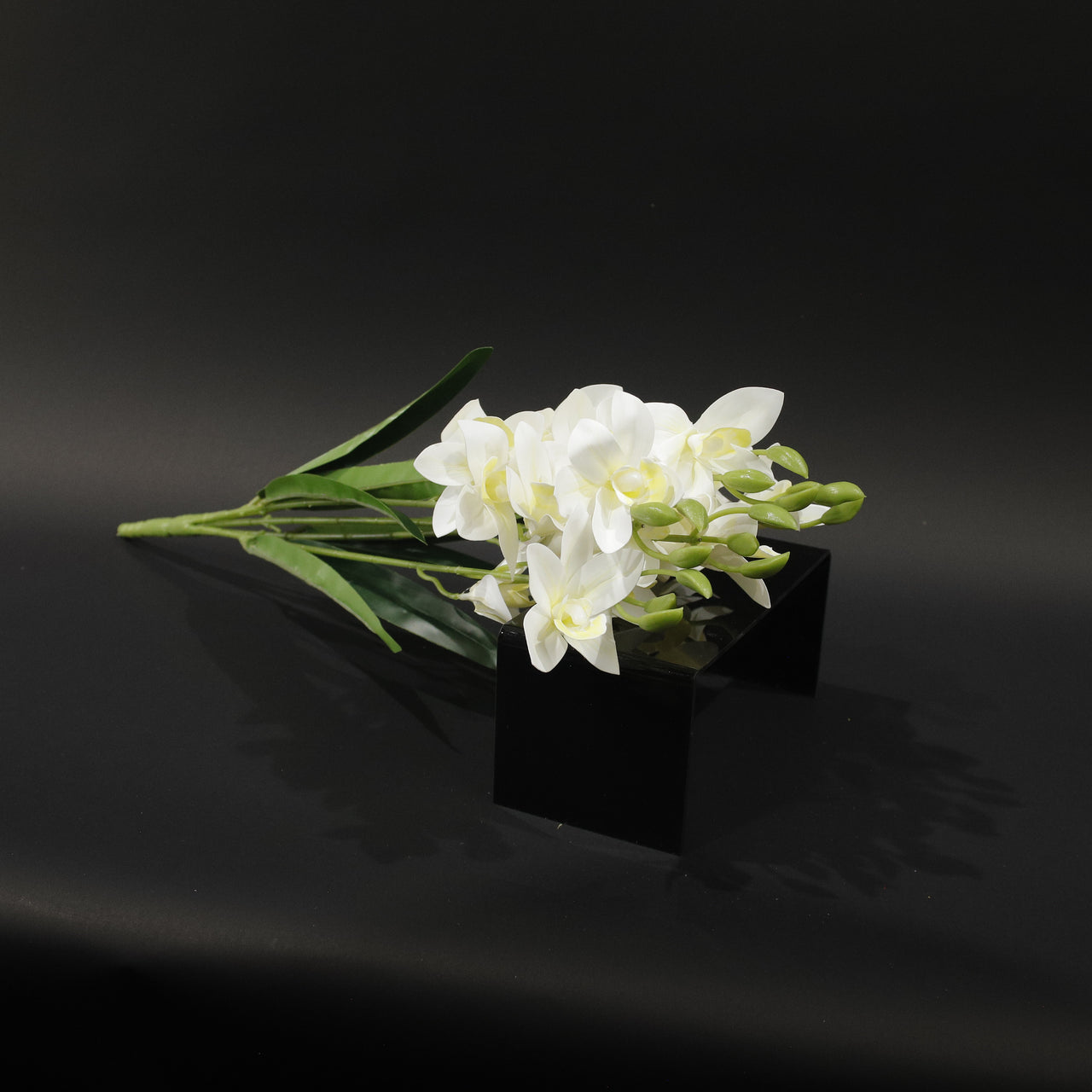 HFL10748 - White Cymbidium  Bq