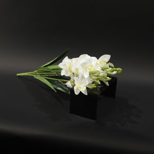 HFL10748 - White Cymbidium  Bq