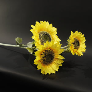 HFL10749 - LS Large Head Yellow Sunflower