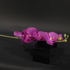 HFL10751 - LS Purple Butterfly Orchid