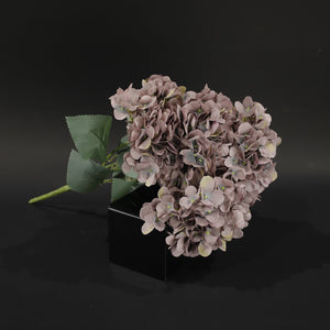 HFL10759 - Mauve Hydrangea Bq
