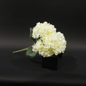 HFL10763 - White Hydrangea Bq