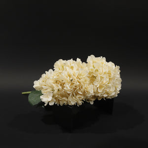 HFL10764 - Blush Hydrangea Bq