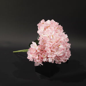 HFL10765 - Ice Pink Hydrangea Bq