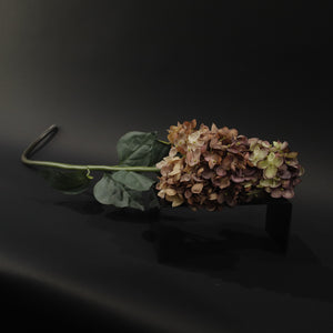 HFL10768 - LS Dusty Rose Pagoda Hydrangea