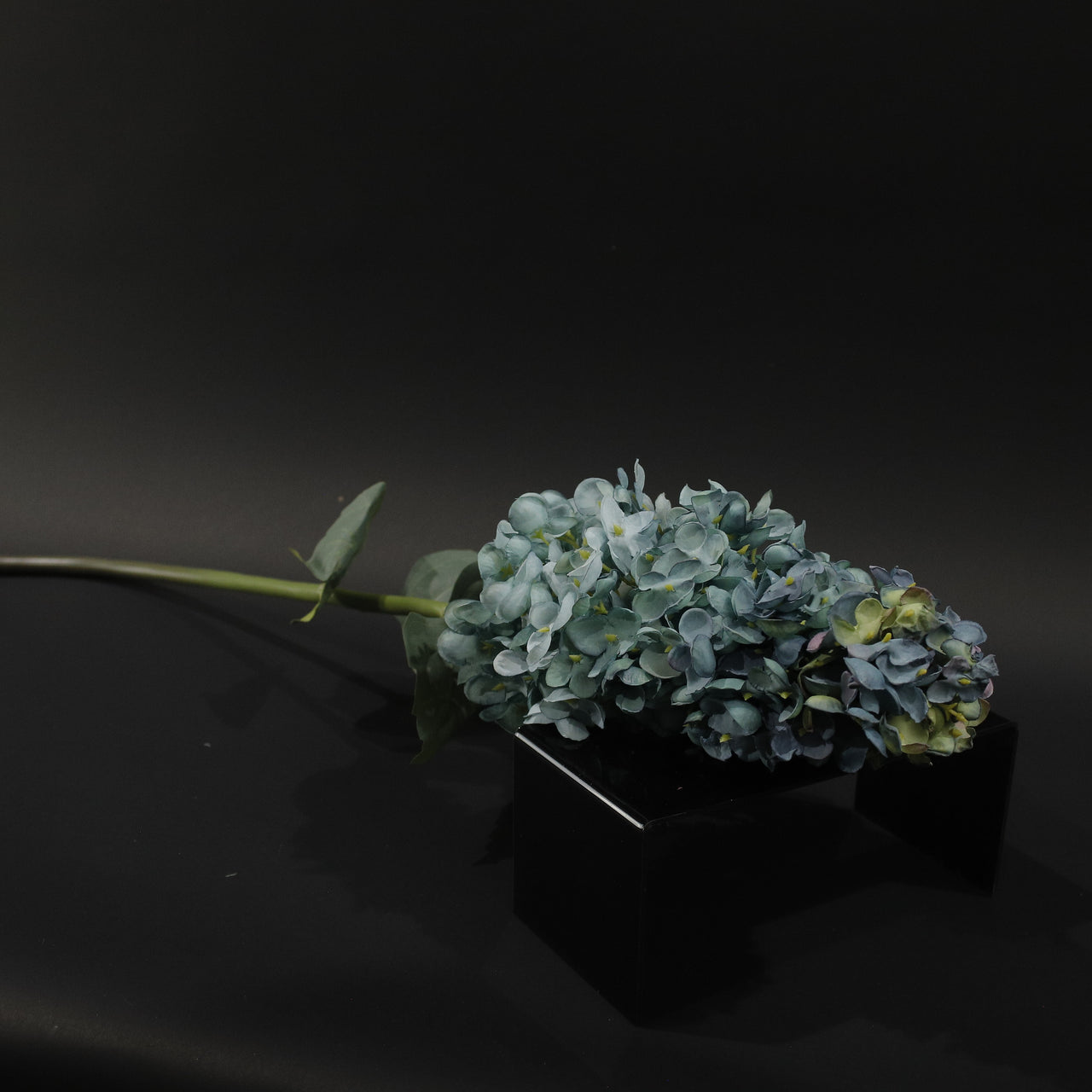 HFL10769 - LS Blue Green Pagoda Hydrangea