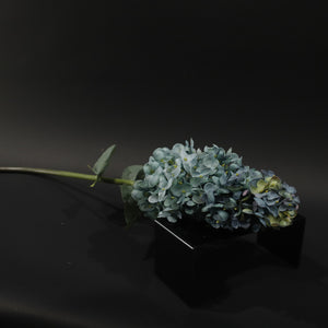 HFL10769 - LS Blue Green Pagoda Hydrangea