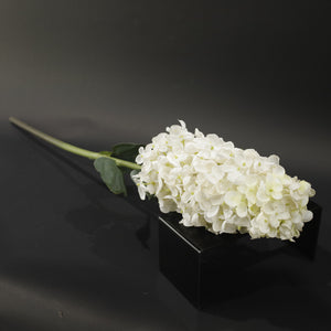HFL10771 - LS Cream Pagoda Hydrangea
