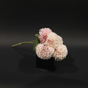 HFL10787 - Pink Garden Dahlia Bq