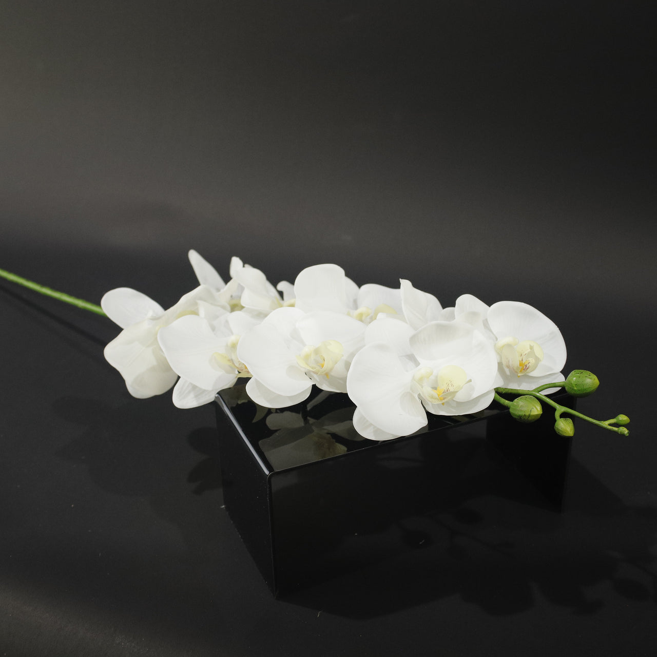 HFL10796 - LS White Double Orchid