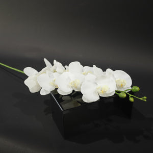 HFL10796 - LS White Double Orchid