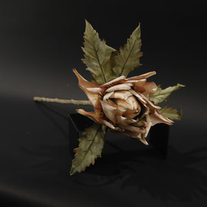 HFL10806 - LS Autumn King Protea