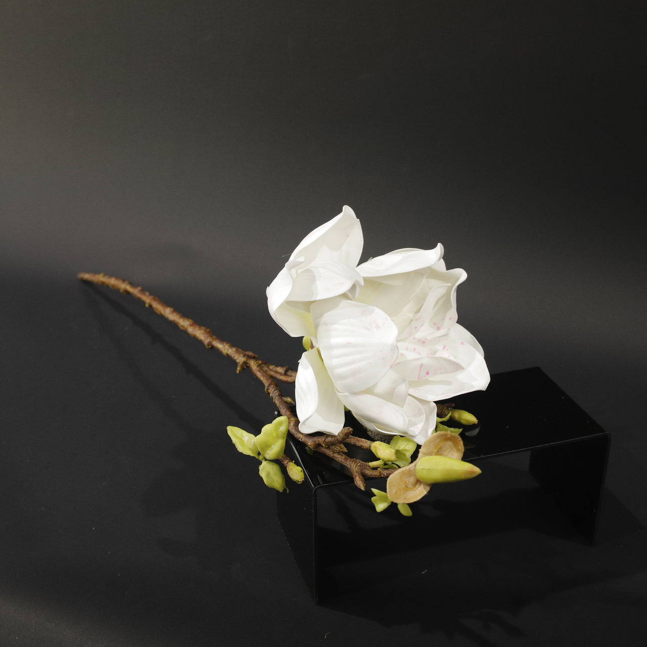 HFL10822 - LS White Lotus