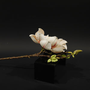HFL10824 - LS Variegated Peach Lotus