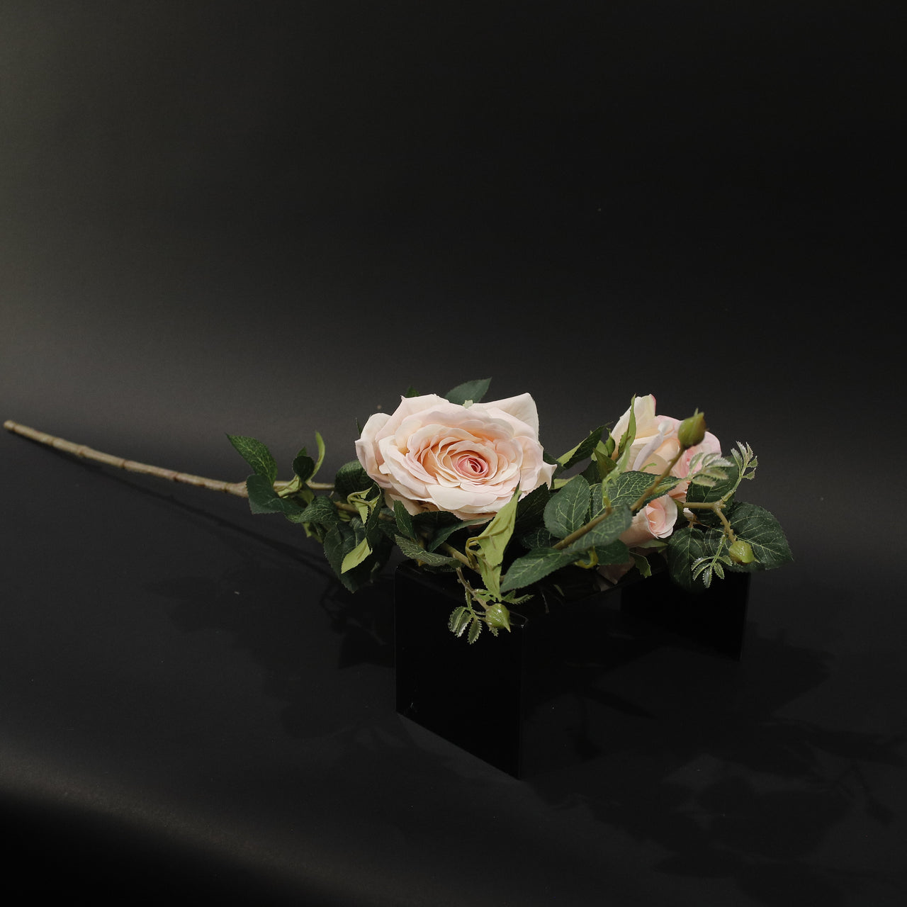 HFL10827 - LS Blush 3 Head Rose