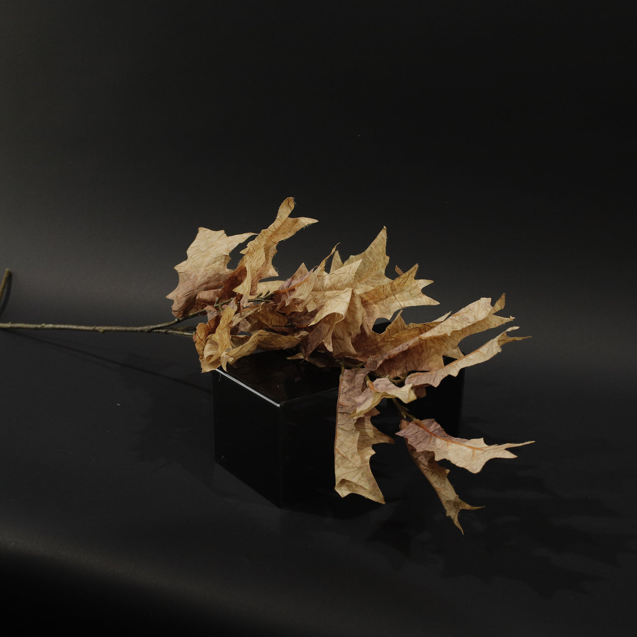HFL10843 - LS Sand Maple Branch