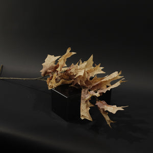 HFL10843 - LS Sand Maple Branch