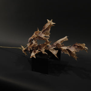 HFL10845 - LS Chocolate Maple Branch