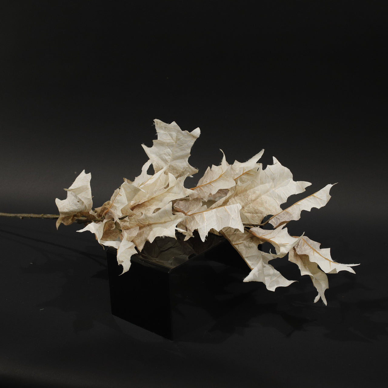 HFL10846 - LS Cream Maple Branch