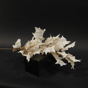 HFL10846 - LS Cream Maple Branch
