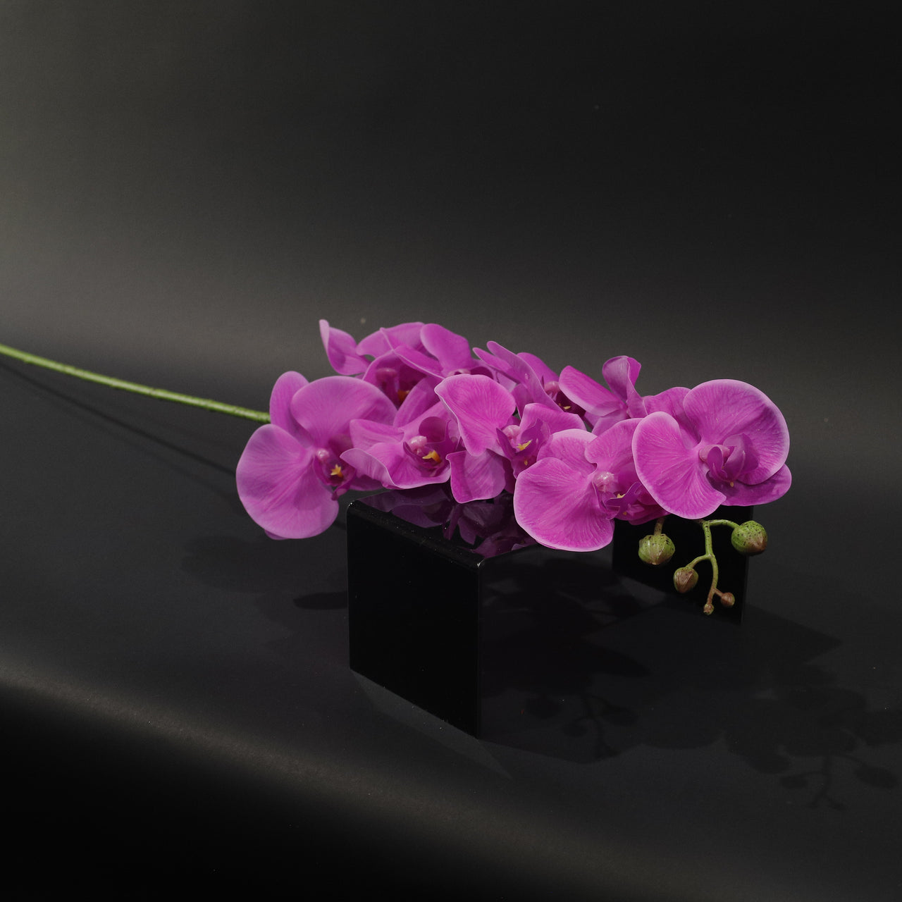 HFL10864 - LS Fuschia 9 Head Phalaenopsis