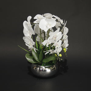 HFL10879 - M White Orchid Gold Pot Plant