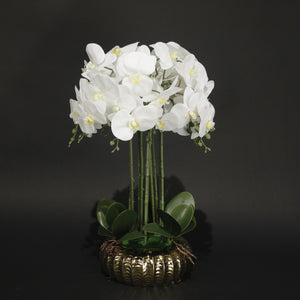 HFL10883 - L White Orchid Gold Plant Pot