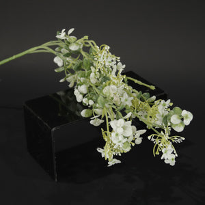 HFL10623 - LS White Wild Flower