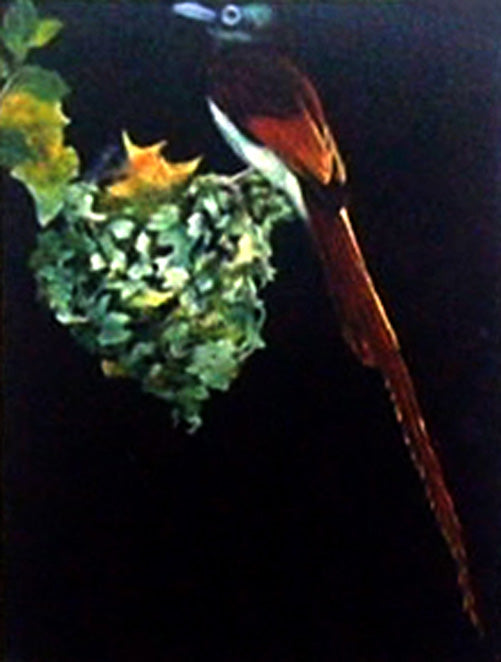 AN1518781 - 12"x16" Original Oil Painting