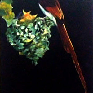 AN1518781 - 12"x16" Original Oil Painting