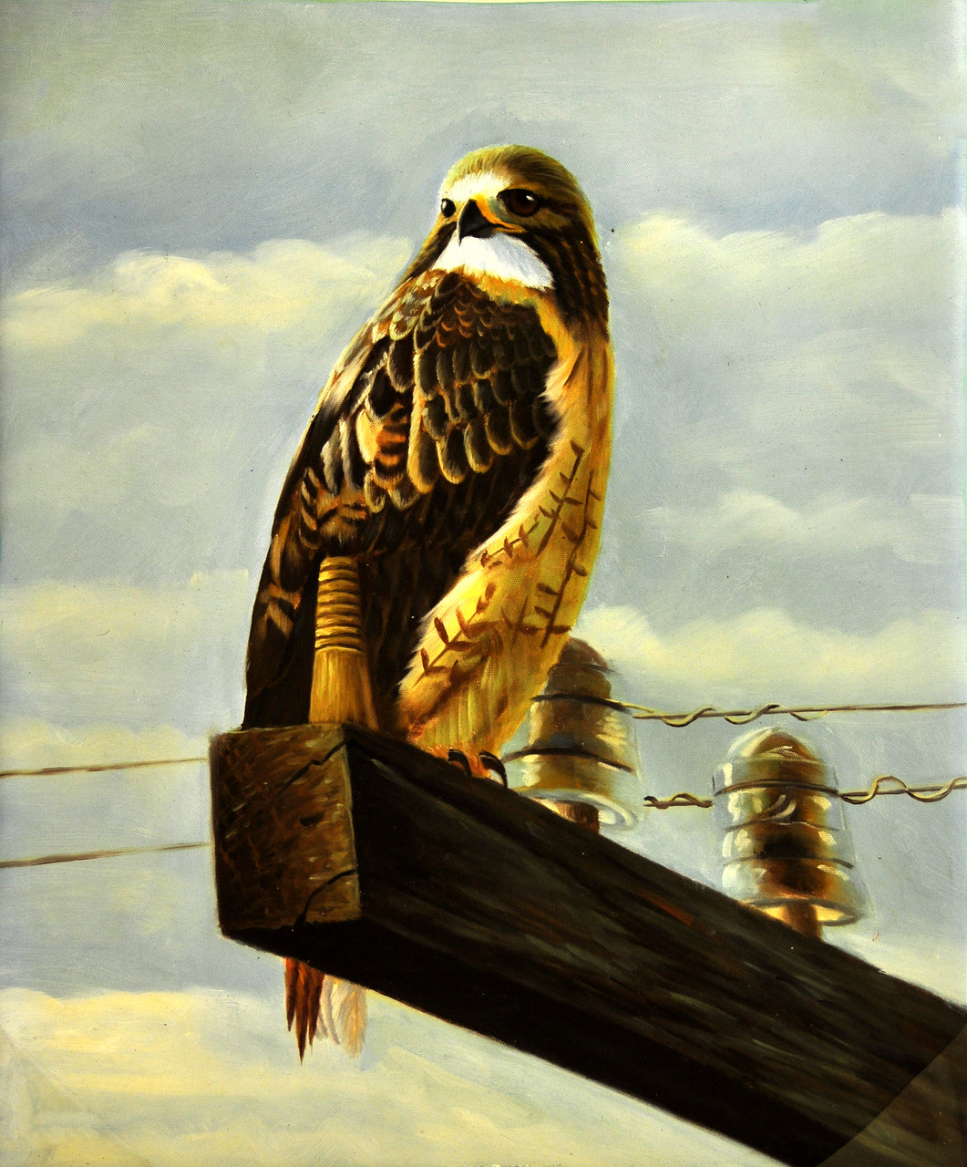 AN2417229 - 20"x24" Original Oil Painting