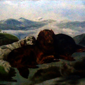 AN2418861 - 20"x24" Original Oil Painting