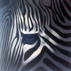 AN3718648 - 36"x36" Original Oil Painting